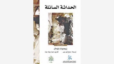 صورة الحداثة السائلة: تفكيك المفهوم